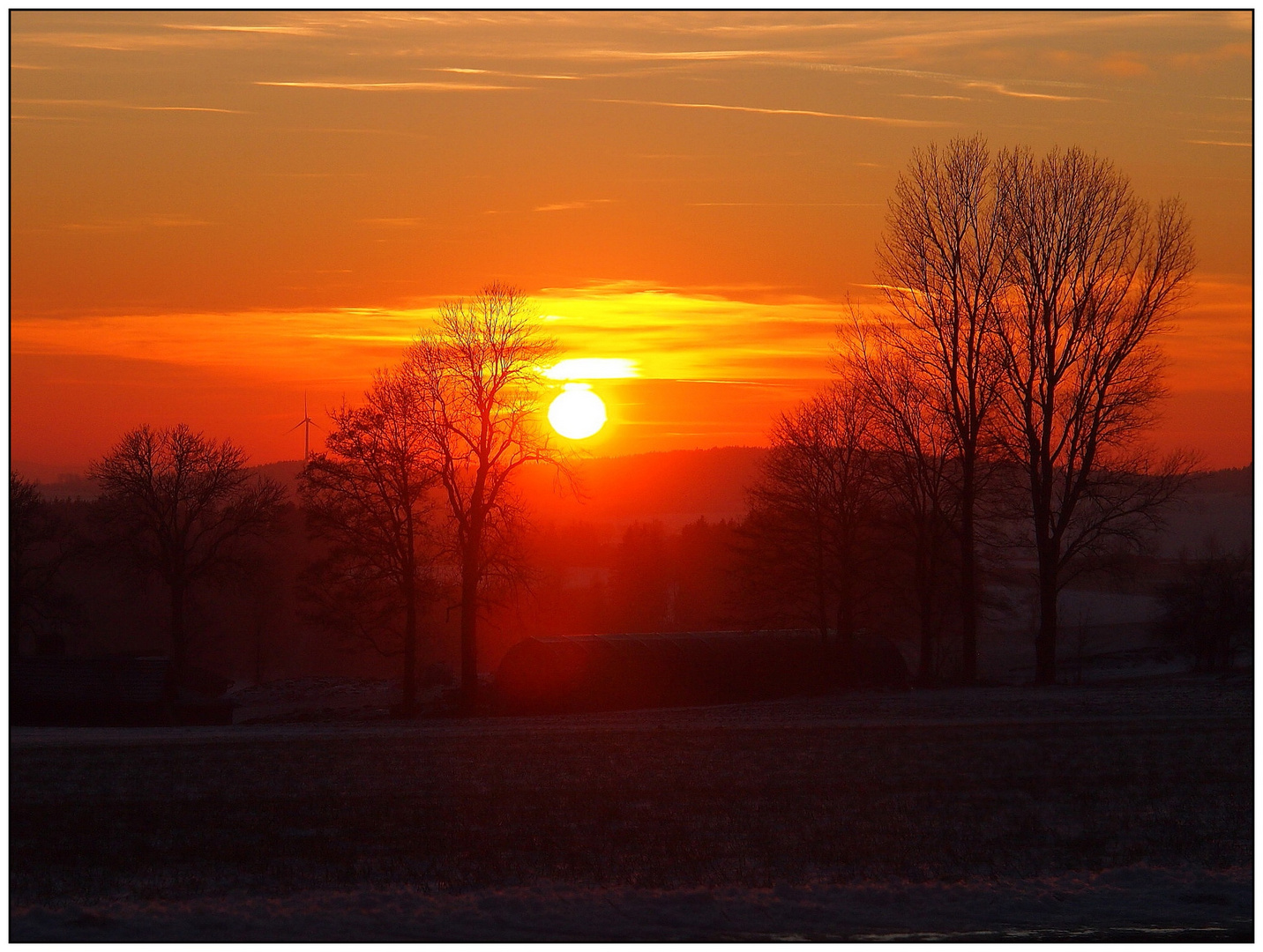 Neulich am Abend