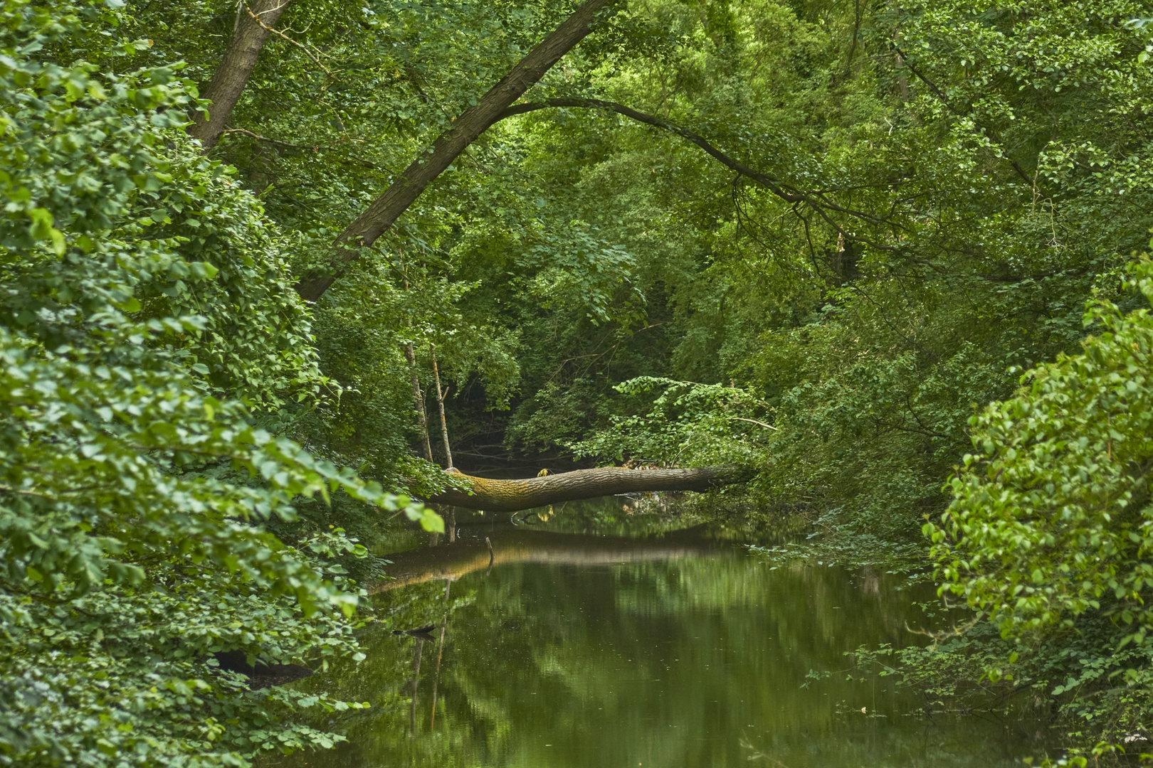 Neulich am Amazonas............