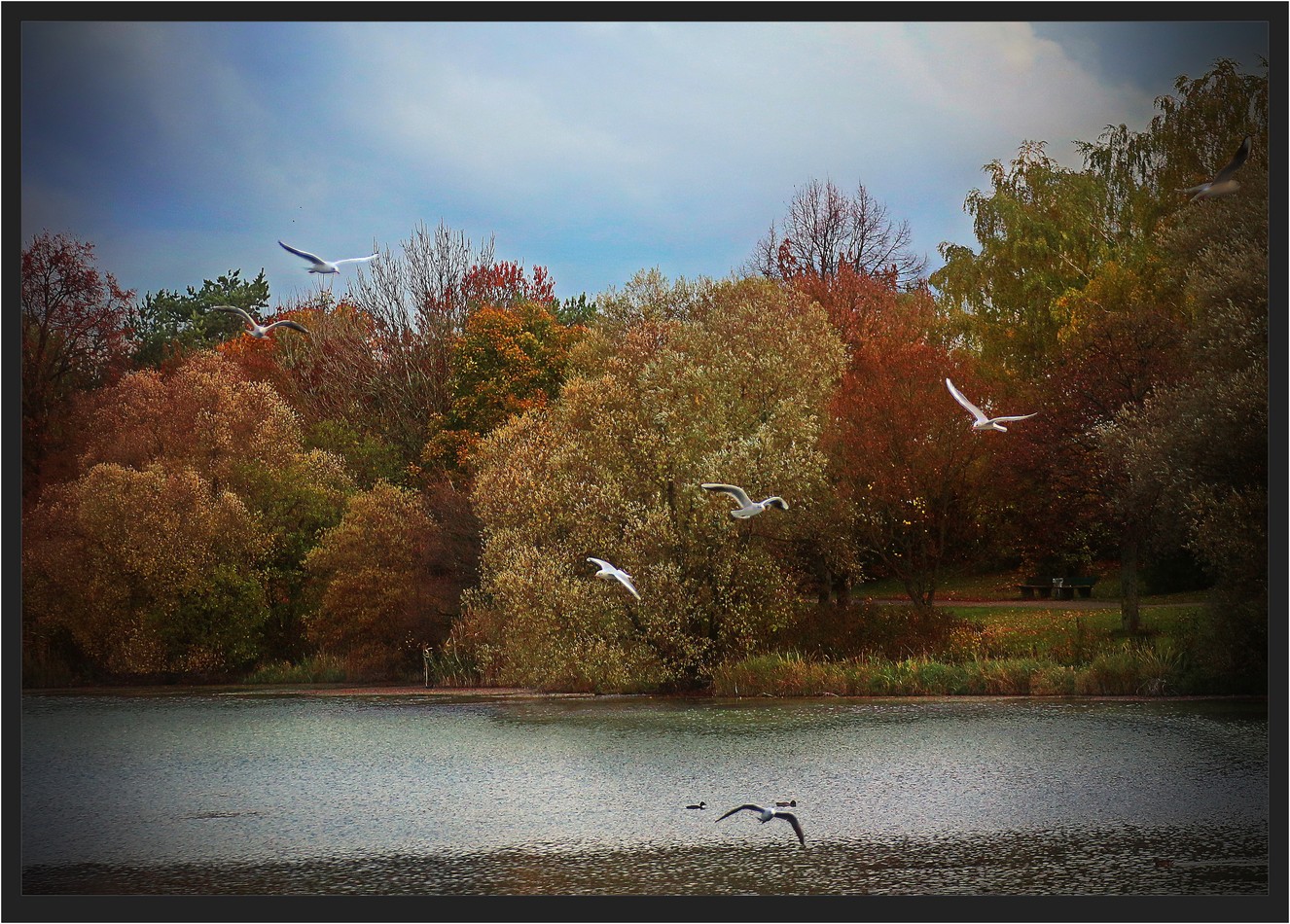 Neulich am Baggersee