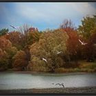 Neulich am Baggersee