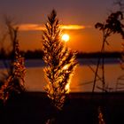 Neulich am Baggersee