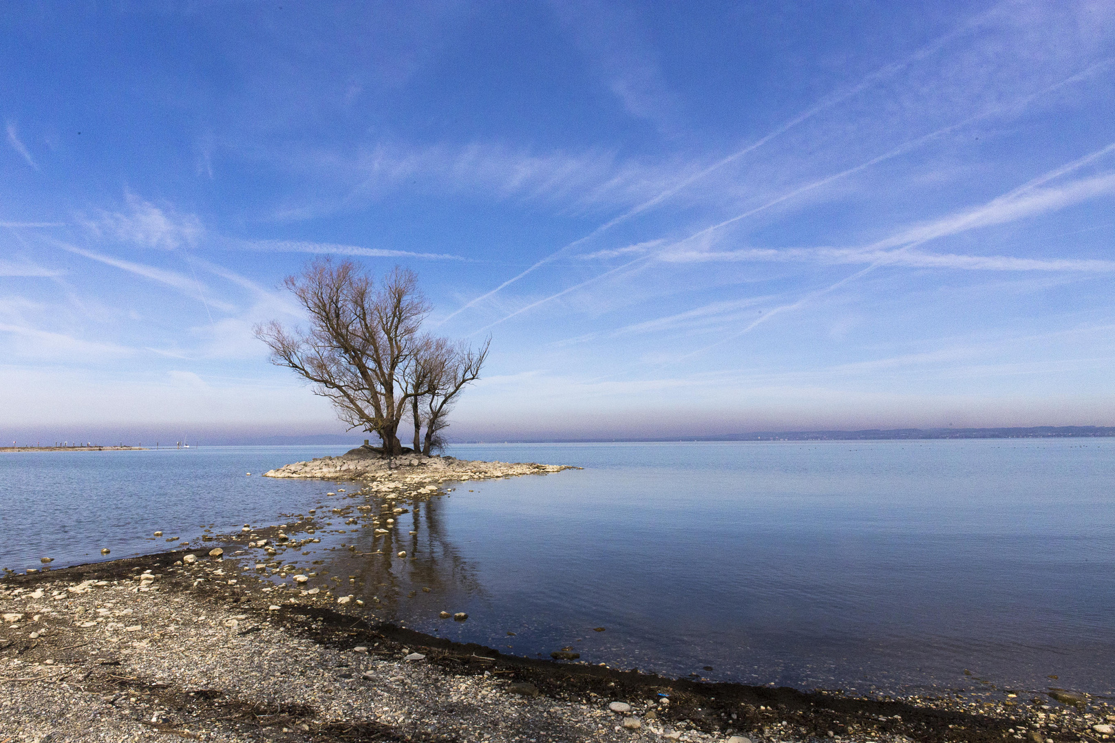 neulich am Bodensee bei Gaißau