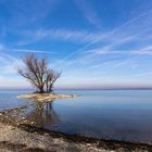 neulich am Bodensee bei Gaißau