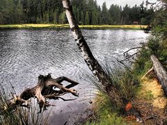 Neulich am Fichtelsee