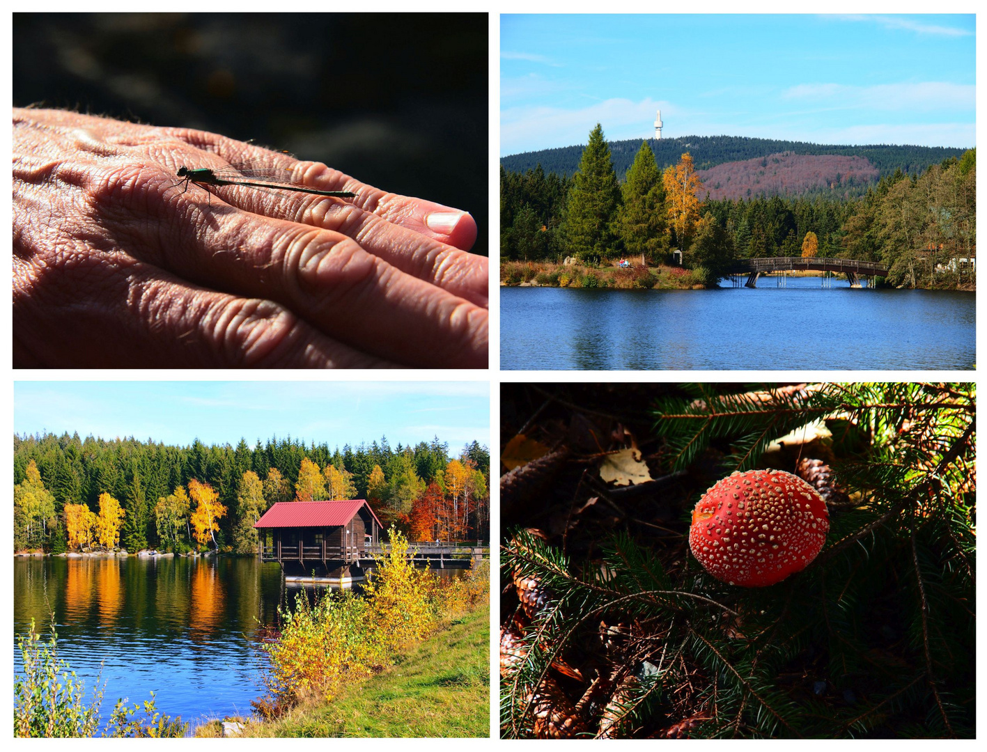 Neulich am Fichtelsee