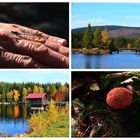 Neulich am Fichtelsee