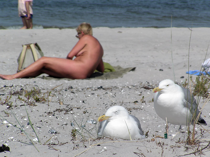 Neulich am FKK-Strand