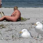 Neulich am FKK-Strand