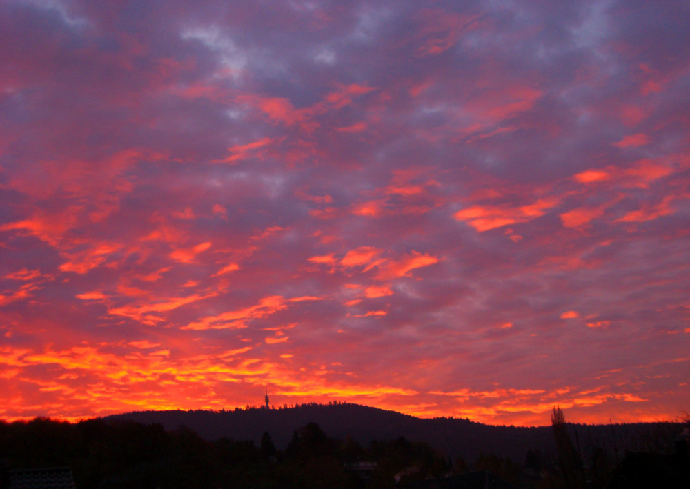 Neulich am frühen Morgen (ist gar nicht meine Zeit)