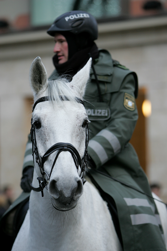 Neulich am Marienplatz II