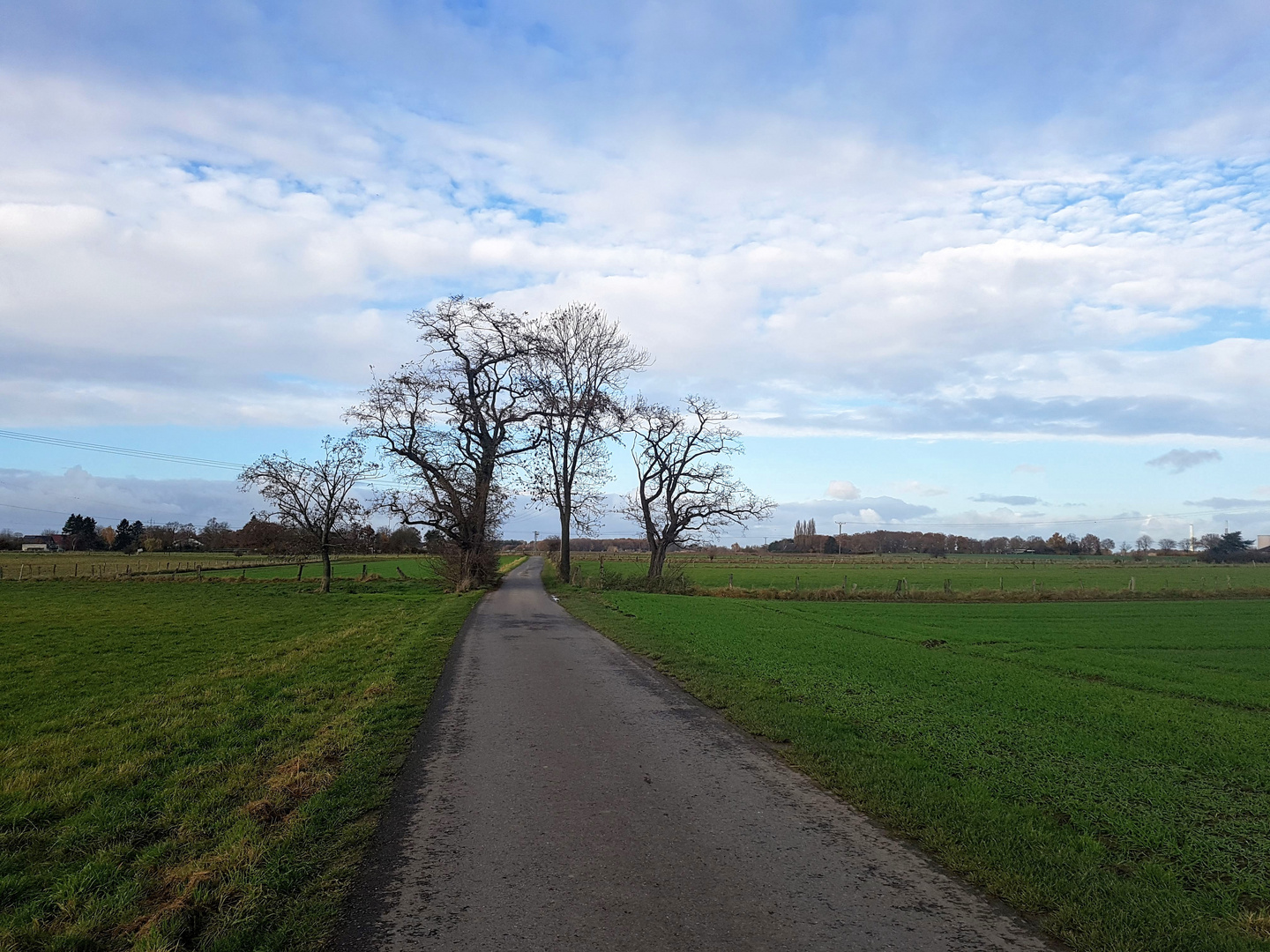 Neulich am Niederrhein