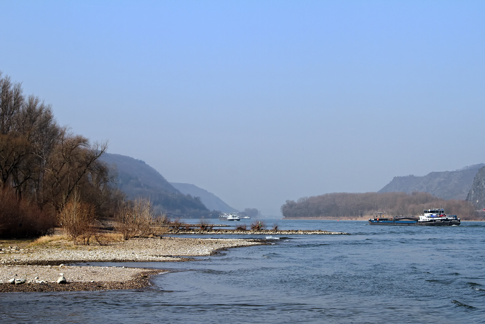 neulich am Rhein