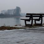 Neulich am Rhein....