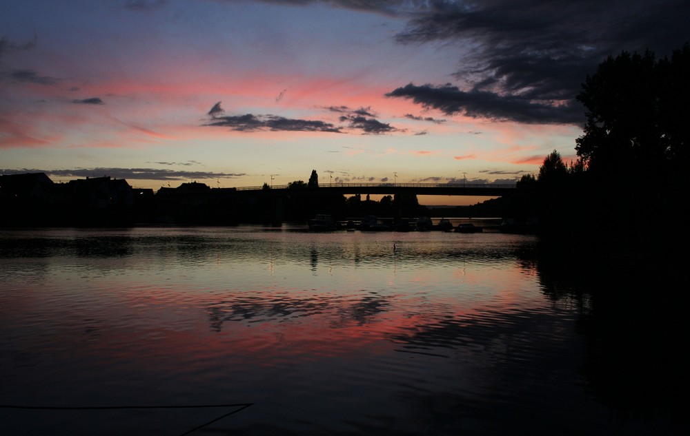 ... neulich am Rhein ...