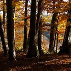 Neulich am Schleinsee