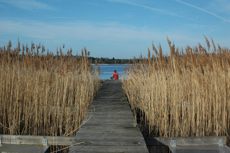 Neulich am See...