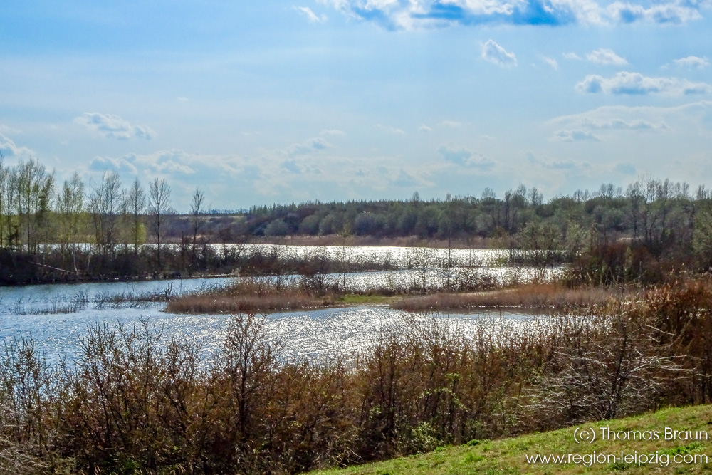 neulich am See...