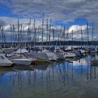 Neulich am Staader Hafen