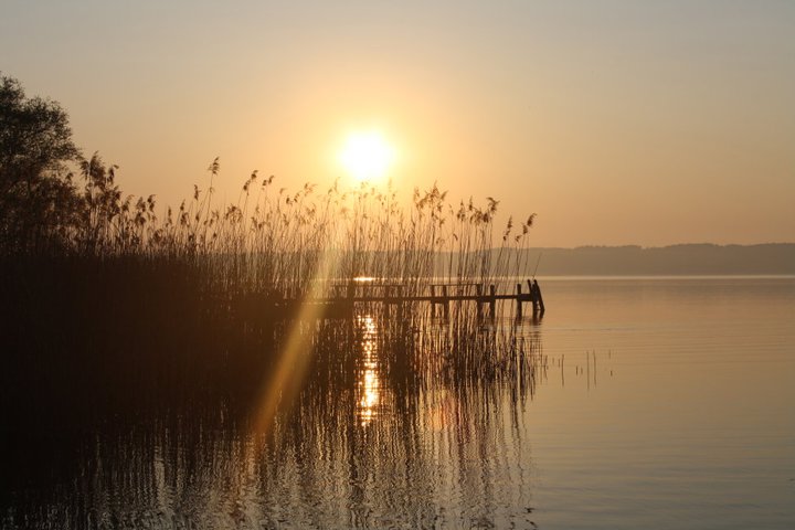 Neulich am Starnberger See