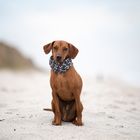 neulich am Strand