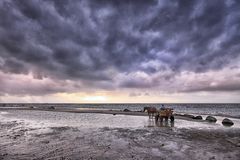 neulich am Strand