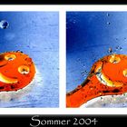 Neulich am Strand von Timmendorf / Ostsee...... 2