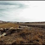 ...neulich am Strassenrand in Wyoming...