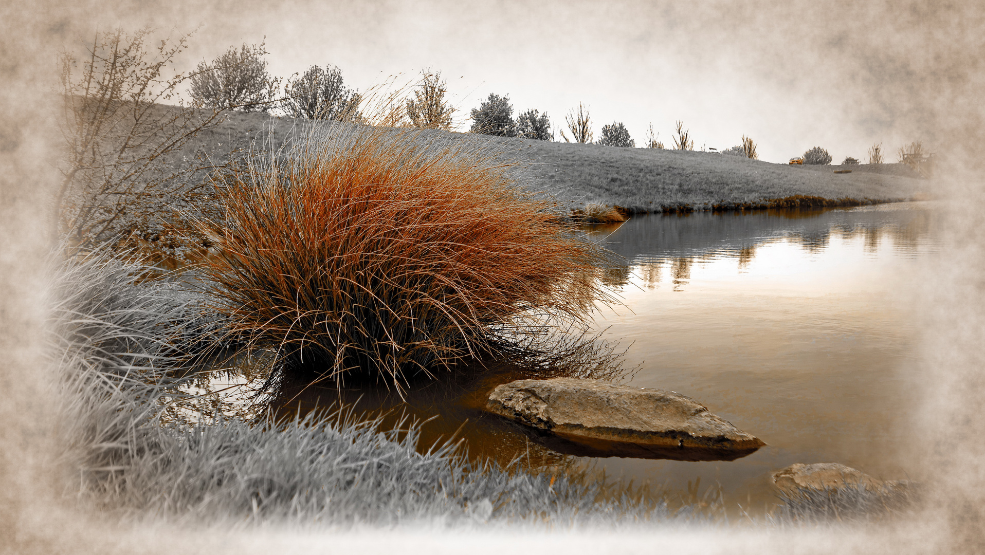 neulich am Teich