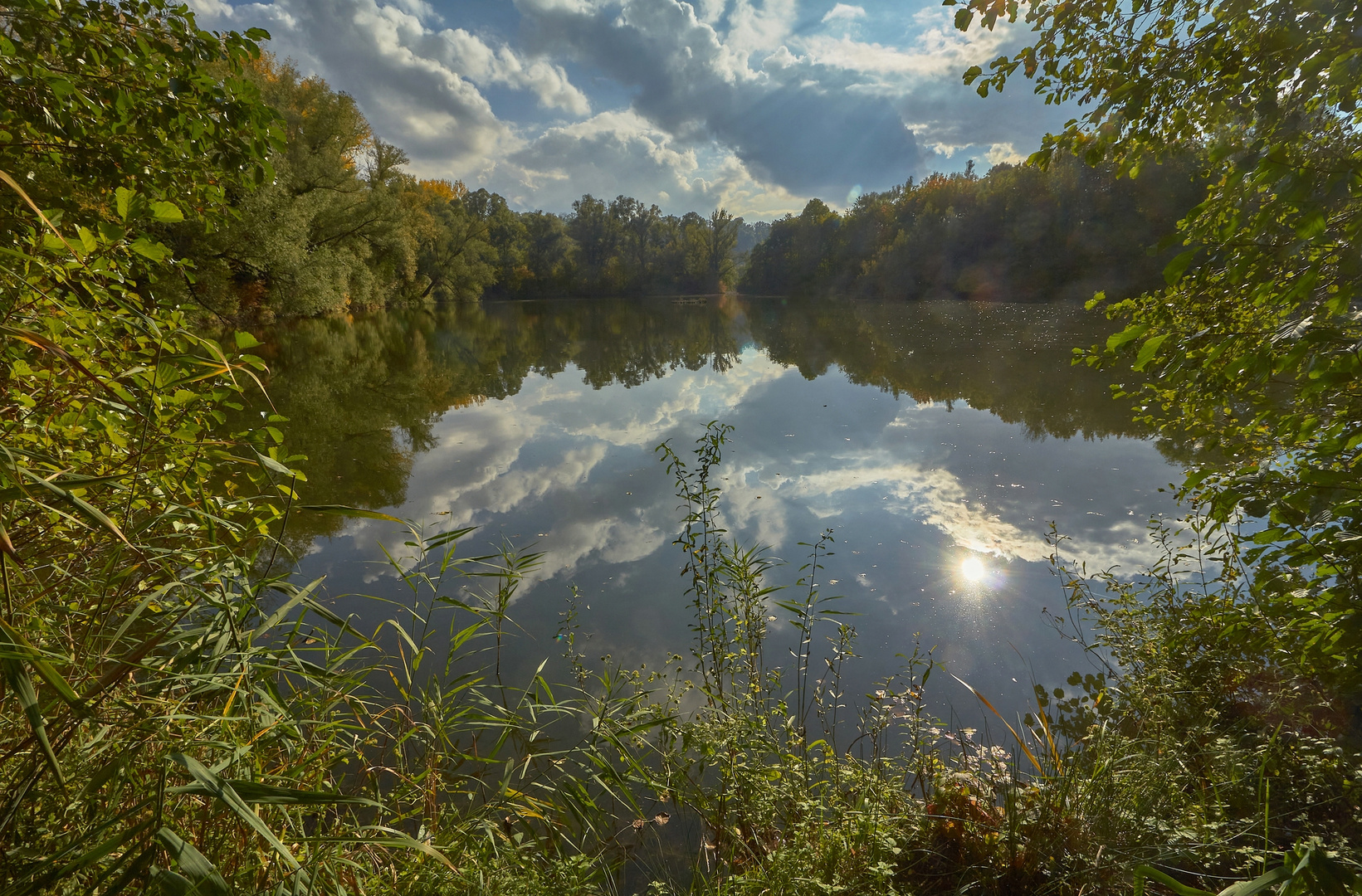 Neulich am Weiher ;-)