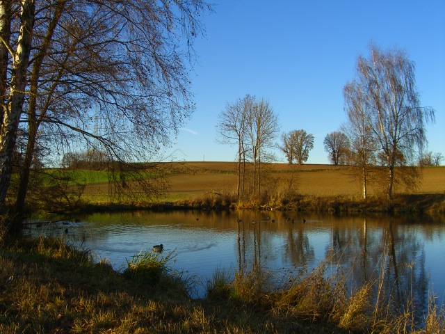 Neulich am Weiher