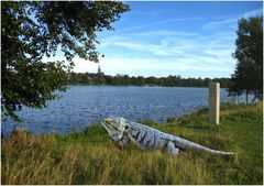 Neulich am Weißenstädter See