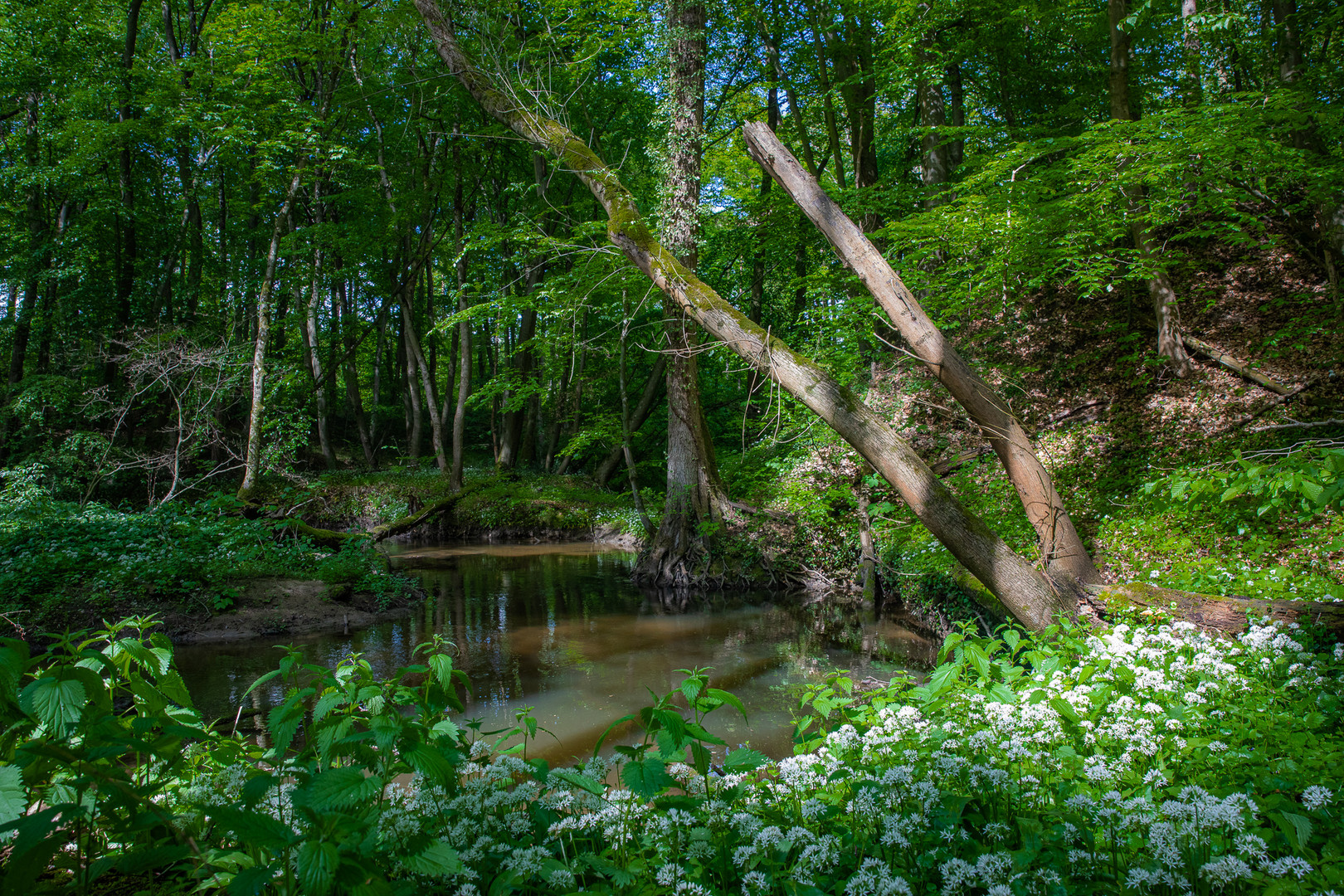 Neulich am wilden Otterbach