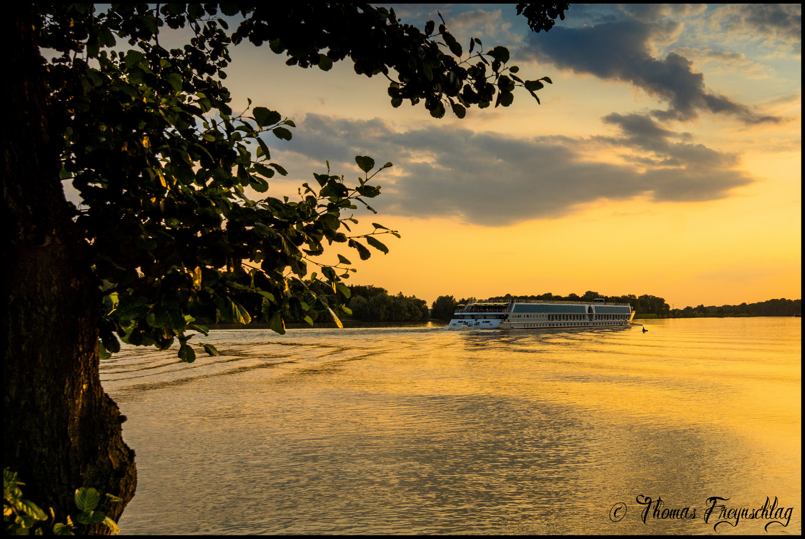 Neulich an der Donau