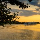 Neulich an der Donau