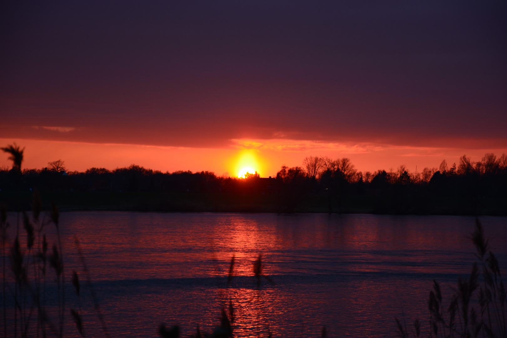 Neulich an der Elbe