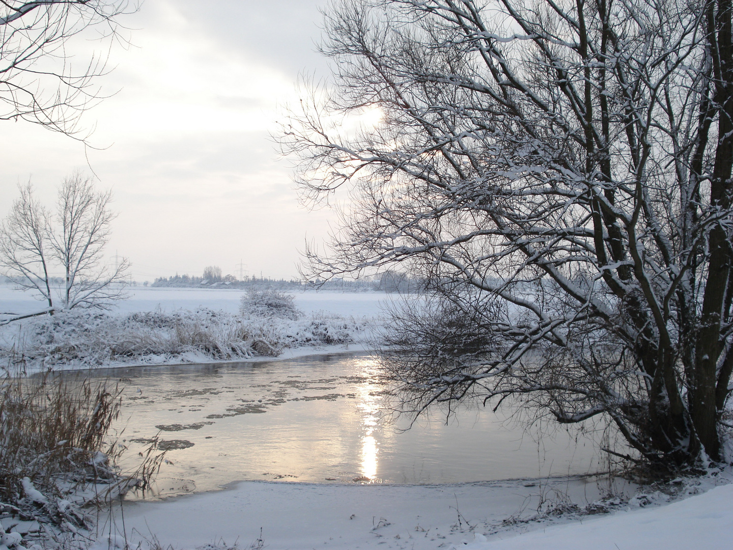 Neulich an der Elster...