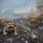 neulich an der Kiesgrube