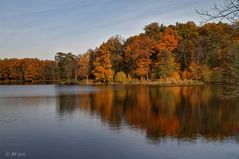 Neulich an der Moritzburg