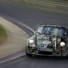 Neulich an der Nordschleife....