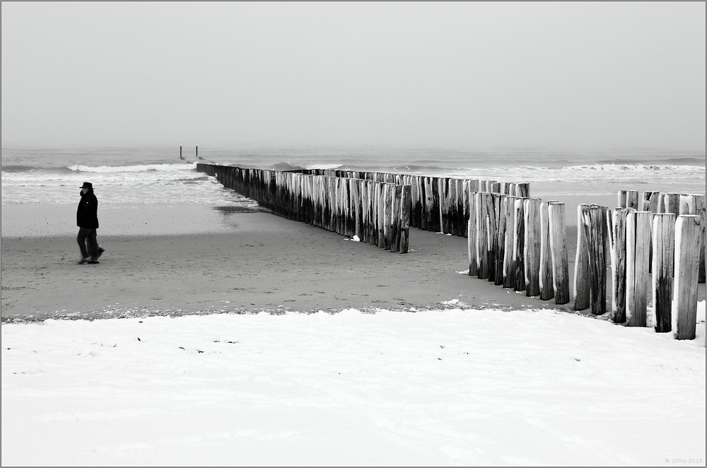 Neulich an der Nordsee (2)