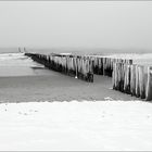 Neulich an der Nordsee (2)