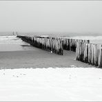 Neulich an der Nordsee (2)