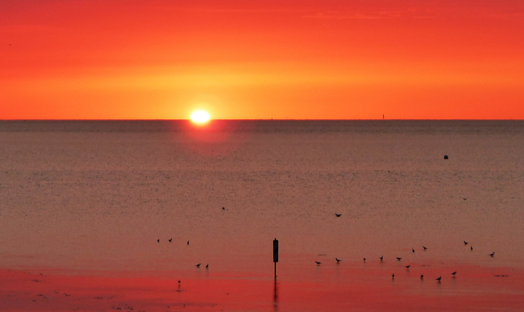 Neulich an der Nordsee