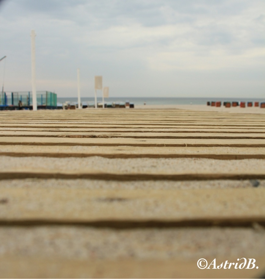 Neulich an der Ostsee 1