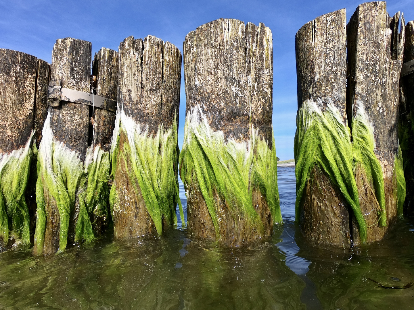 Neulich an der Ostsee