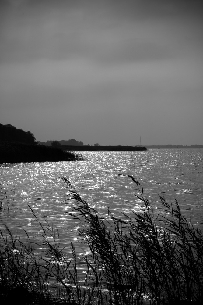 Neulich an der Schlei