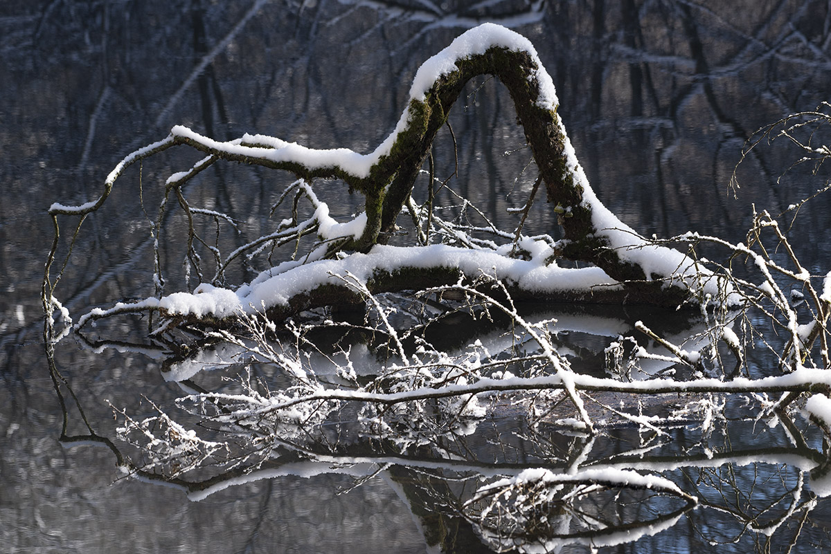 Neulich an der Wupper