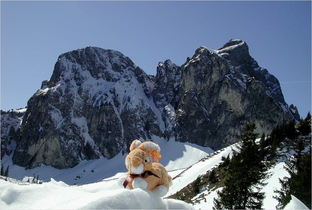 Neulich auf dem Breitenberg