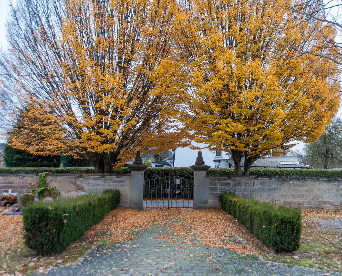 neulich auf dem Friedhof