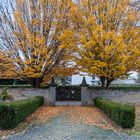 neulich auf dem Friedhof